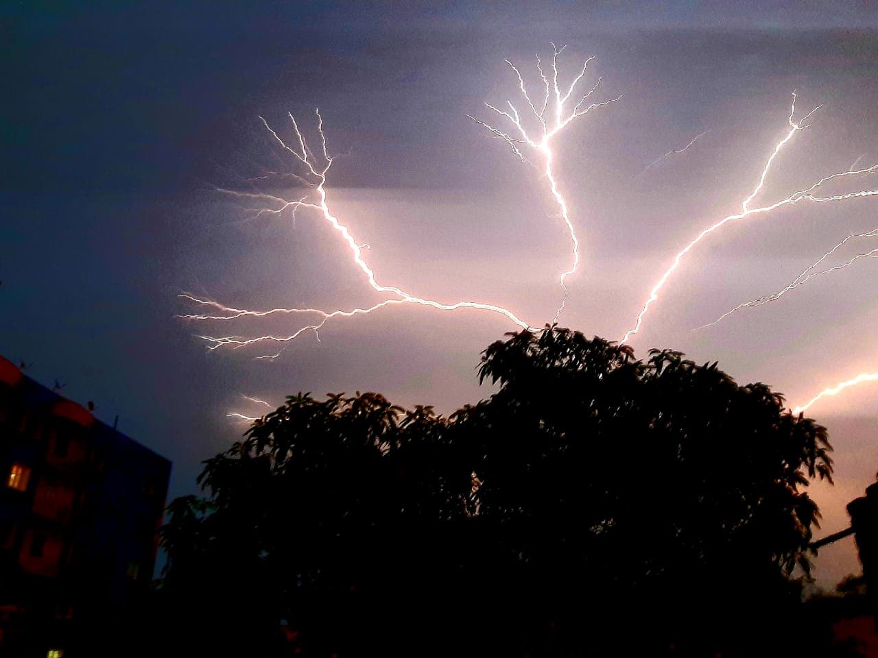 बिहार में 5 वर्षों में हुई वज्रपात से 1000 से ज्यादा मौतें, जानें ठनके से बचने के क्या हैं उपाय