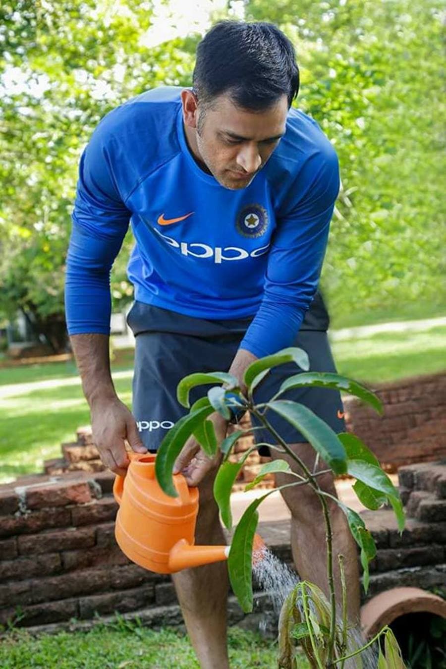 World environment Day: प्रकृति से कितना प्यार करते हैं धौनी? करोड़ों के विज्ञापन तक छोड़ लगे हैं सिर्फ इस काम में