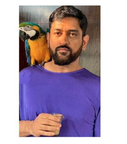 टीम इंडिया के ब्लू जर्सी में फिर दिखे Dhoni, सोशल मीडिया पर एक आया भूचाल, रणवीर सिंह भी हुए माही के दिवाने