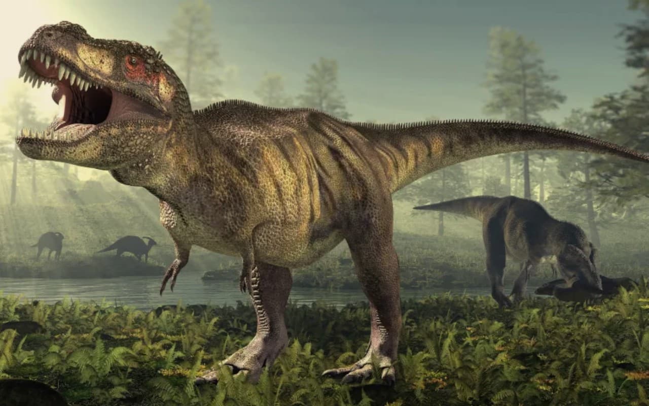 Dinosaur Fossils: कनाडा में मिले डायनासोर के जीवाश्म, सामने आ सकती है नयी जानकारी