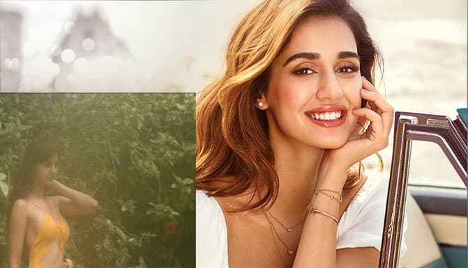 यलो मोनोकिनी में काफी Glamorous लग रही हैं दिशा पटानी,  यूजर ने कहा ''कपड़े पहनो, कहीं मच्छर ना काट लें . . .''