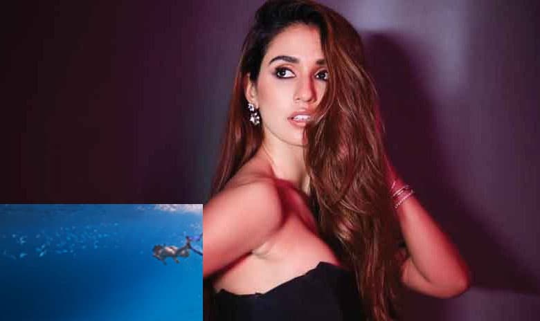 दिशा पाटनी ने कुछ इस तरह लगाई पानी में डुबकी, Viral Video पर फैंस ने कहा पटाखे की . . .