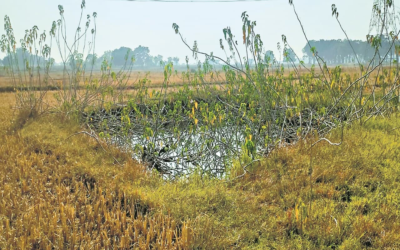 Dobha Scheme: झारखंड में करोड़ों रुपये खर्च कर बने डोभा गायब, कई जिलों का है यही हाल, पढ़े पूरी रिपोर्ट
