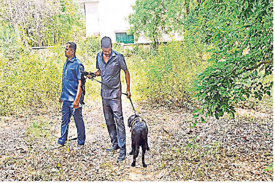 भागलपुर में पुरे दिन बम की दहशत में रहे लोग, बुलाया गया बम निरोधक दस्ता, जांच में निकली गिट्टी भागलपुर में पुरे दिन बम की दहशत में रहे लोग, बुलाया गया बम निरोधक दस्ता, जांच में निकली गिट्टी