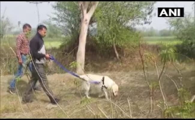 उन्‍नाव केस में स्निफर डॉग की मदद से मिला अहम सुराग, आखिरकार घटना के दिन के क्या हुआ था, पुलिस के लिए बड़ा सवाल