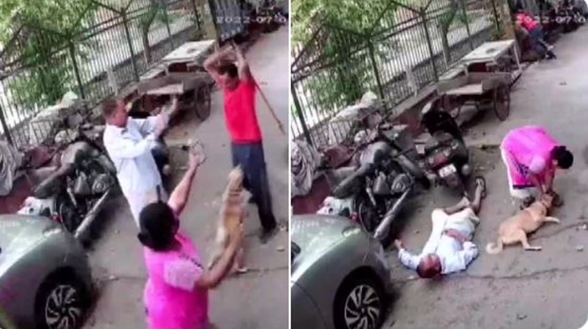 कुत्ते के भौंकने पर गुस्से से आगबबूला हुआ शख्स, लोहे की रॉड से मालिक को जमकर पीटा, देखें VIDEO
