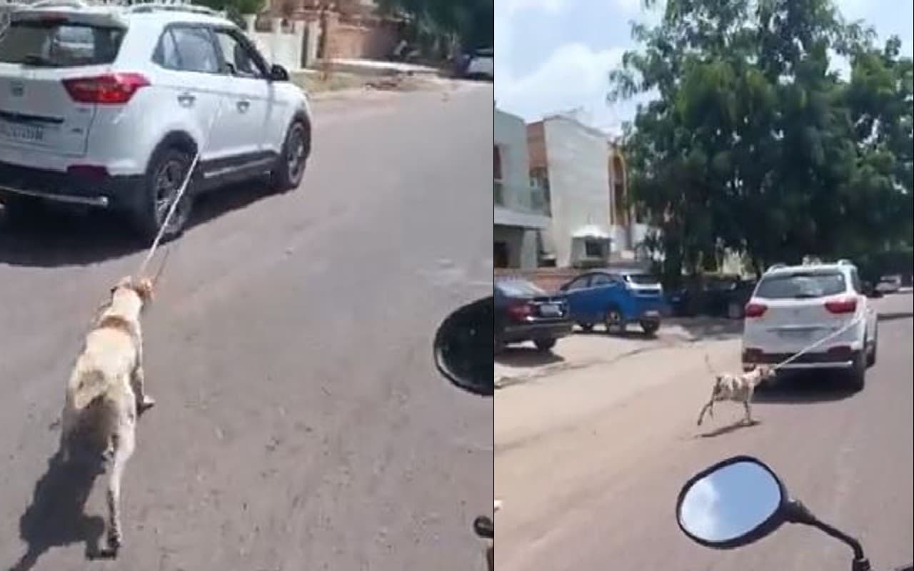 राजस्थान में एक बार फिर कुत्ते से बर्बरता, कार में बांधकर पूरे शहर में घसीटा, देखें शर्मनाक VIDEO