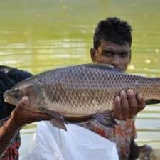 खाद बिक्रेता ने नाबालिग बच्चों को किसान बता बेच दी 1215 बोरी सरकारी यूरिया