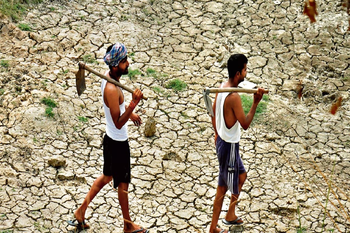 लगातार दूसरे साल झारखंड के 200 से अधिक प्रखंड सूखे की चपेट में, इन 3 जिलों के 9 प्रखंडों की हालत तो बेहद खराब
