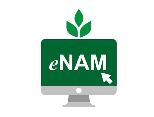 काम की खबर: बिहार के किसान e-NAM पोर्टल से ऑनलाइन बेच सकते हैं फसल, बिचौलियों का झंझट खत्म