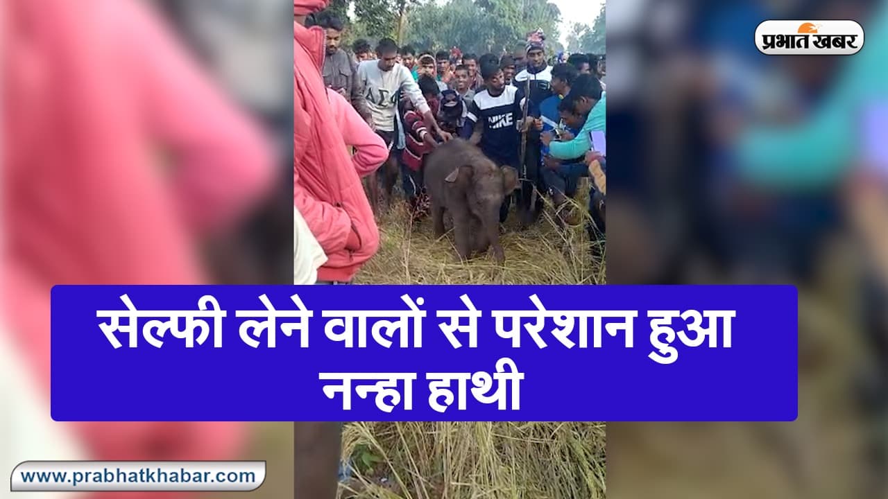 रामगढ़: सेल्फी लेने वालों से परेशान हुआ नन्हा हाथी