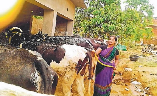 बिहार की महिला किसान को मिला राष्ट्रीय पुरस्कार, इंटीग्रेटेड फार्मिंग से लाखों कमाकर महिलाओं को भी दिया रोजगार