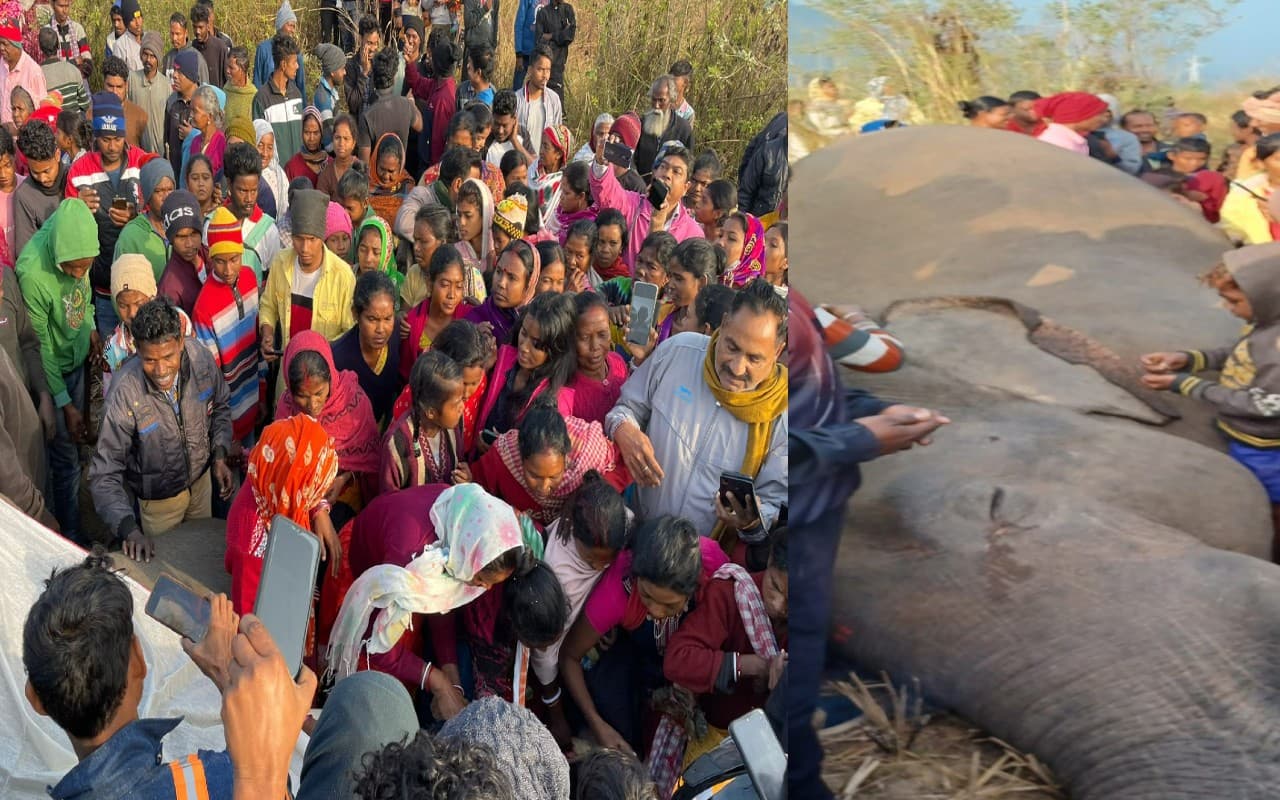 पूर्वी सिंहभूम में करंट लगने से हाथी की मौत, हजारों की संख्या में उमड़ी भीड़