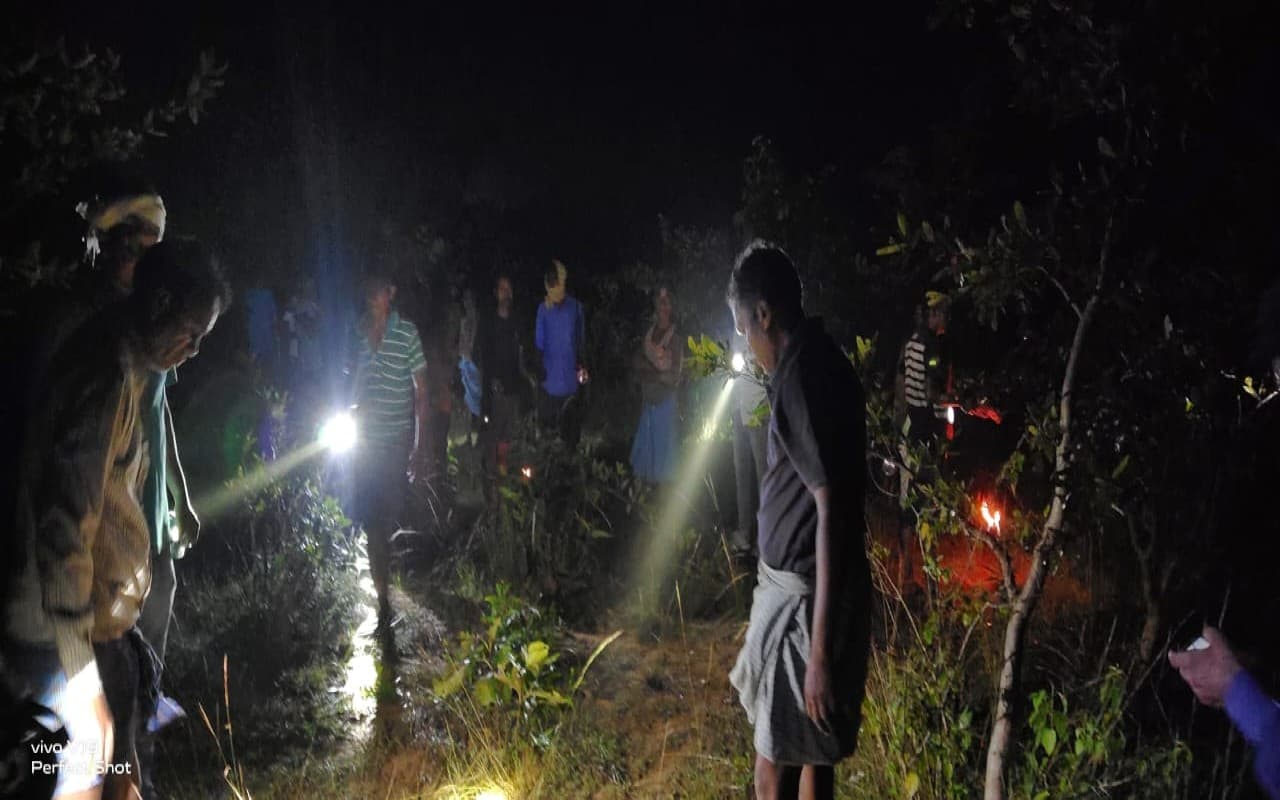 Viral Video: Z+++ Security, हाथियों से बढ़िया सुरक्षा नहीं दे सकता कोई, वायरल वीडियो ने जीता दिल