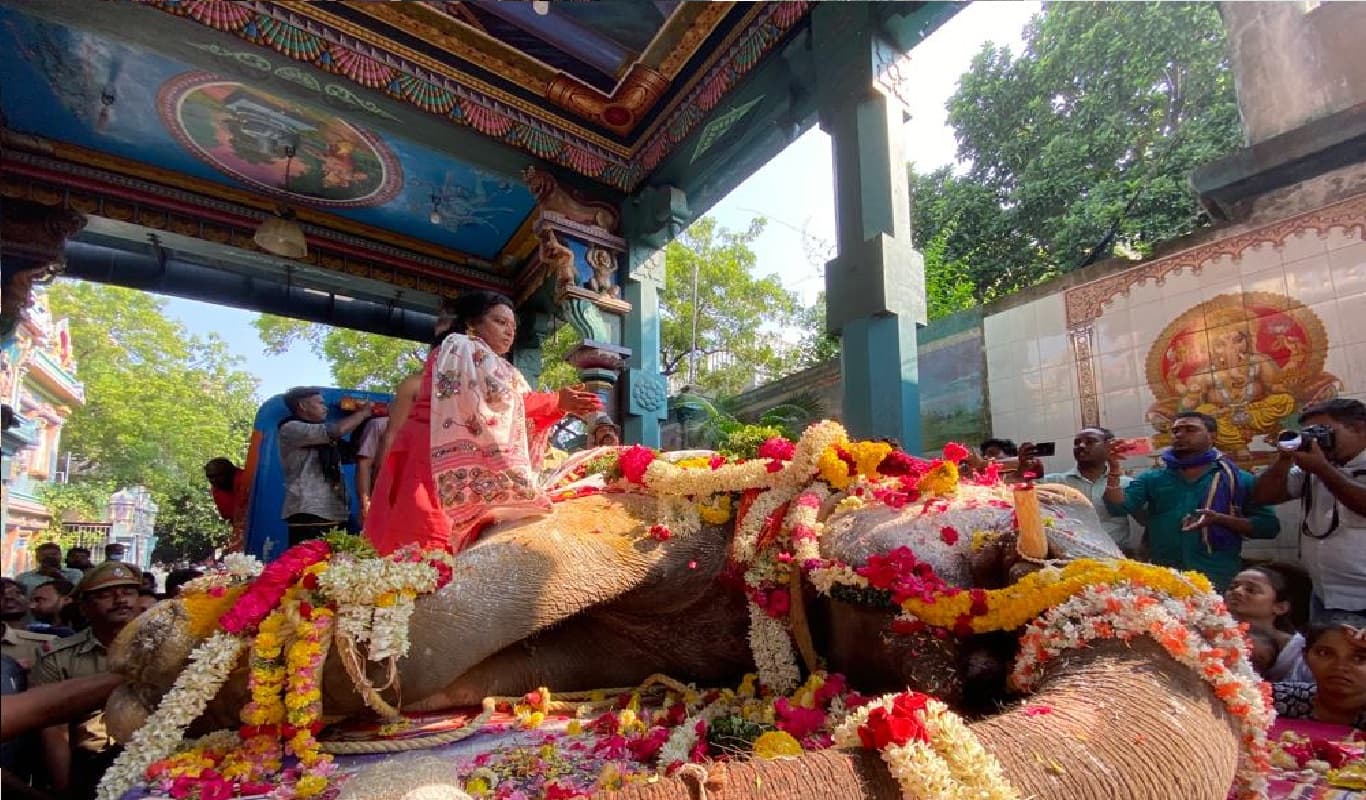पुडुचेरी के विनयागर मंदिर की दिव्य हाथी लक्ष्मी की मौत, अंतिम संस्कार में शामिल हुए हजारों लोग, VIDEO