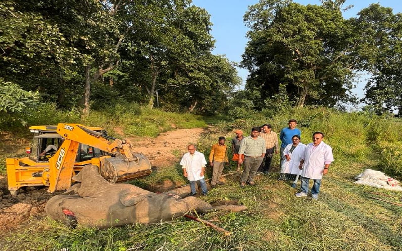 Jharkhand News:पलामू टाइगर रिजर्व में बिजली के करंट से हाथी की हत्या करने की आरोपी पत्नी को जेल, पति फरार