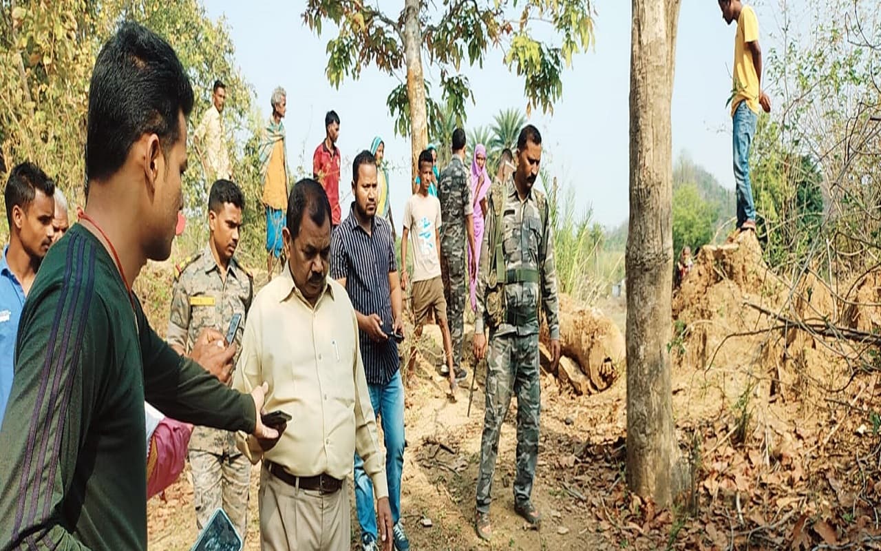 Jharkhand News: पलामू टाइगर रिजर्व से लौटे हाथियों का झुंड हुआ आक्रामक, एक ग्रामीण को कुचलकर मार डाला
