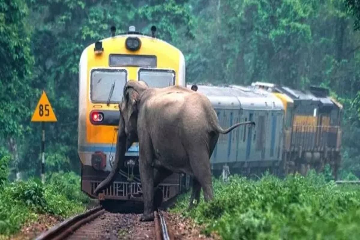 Indian Railways: ट्रेनों में लगेगा कवच, ट्रैक के आसपास होगा गजराज सिस्टम, जानें कैसे करेगा काम