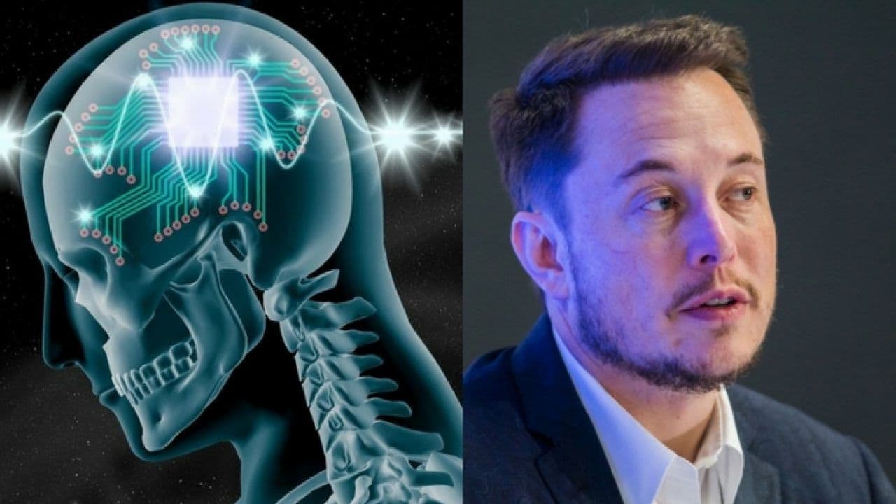 Elon Musk का Neuralink प्रोजेक्ट खतरे में, दिमाग में चिप लगाने के ट्रायल में मारे गए ज्यादातर बंदर