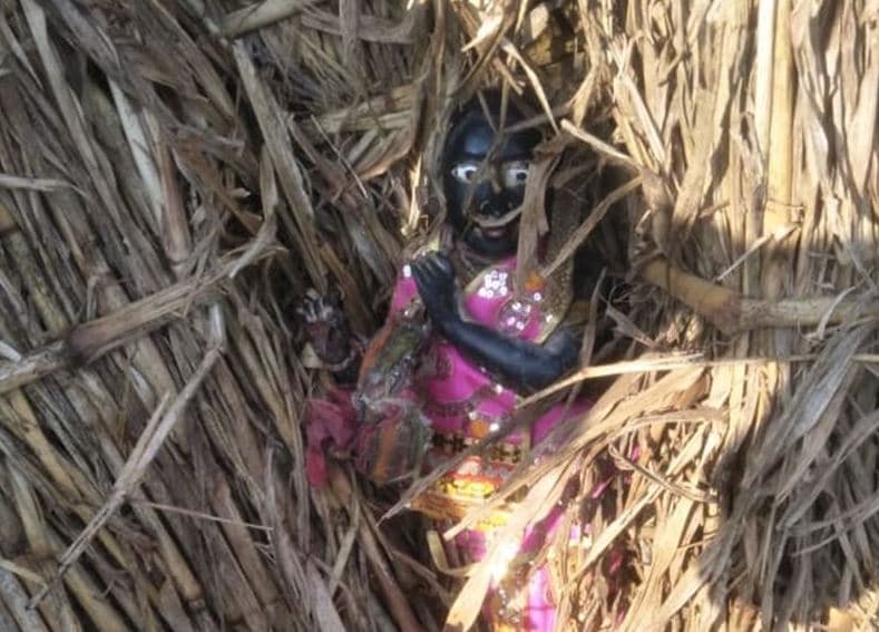 अजब MP में गजब घटना: मुरैना जिले में गाय ने ढूंढी मंदिर से चोरी भगवान कृष्ण की मूर्ति, पढ़िए सारी घटना