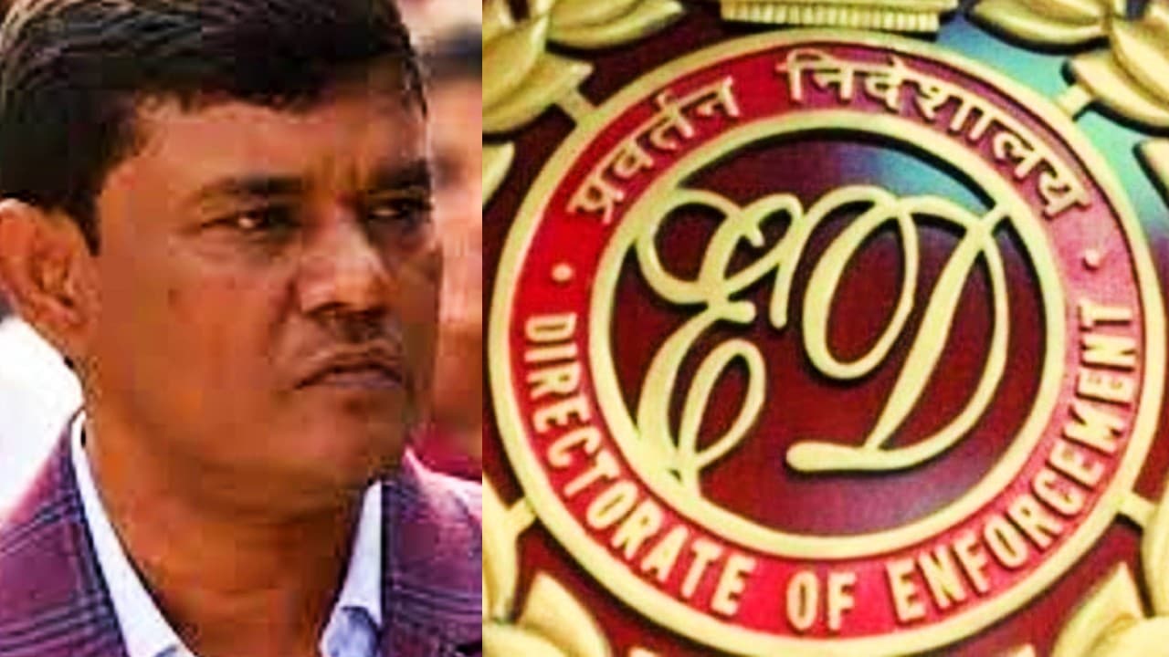 enamul haque cattle smuggling: मवेशी तस्करी के सरगना एनामुल हक को कोर्ट से झटका, ईडी की हिरासत में भेजा