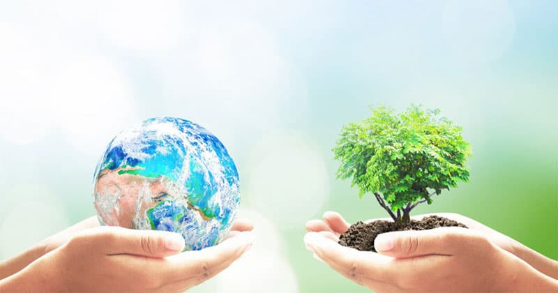 विश्व पर्यावरण दिवस : बच्चों में पर्यावरण के प्रति सम्मान विकसित करना है जरूरी