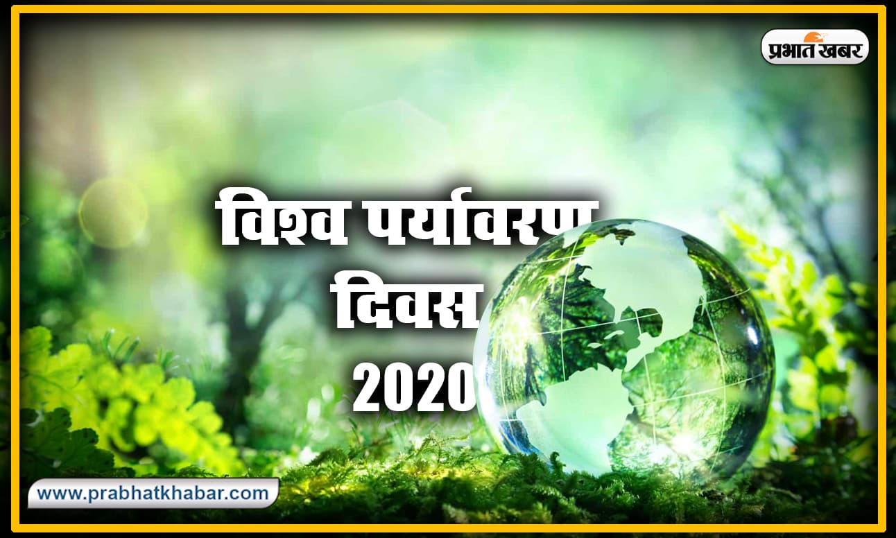 क्या Lockdown के बाद वापस दूषित हो जाएगा वातारण? जानें क्या है World Environment Day 2020 का इतिहास और इस बार का थीम