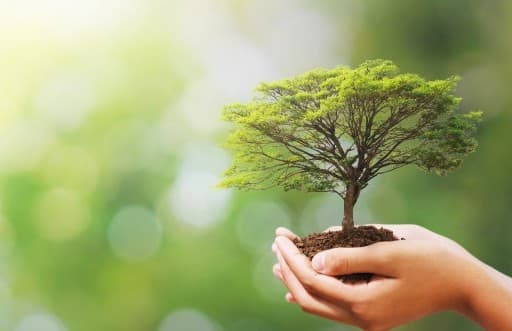 जलवायु संकट में मददगार होगा कार्बन बाजार