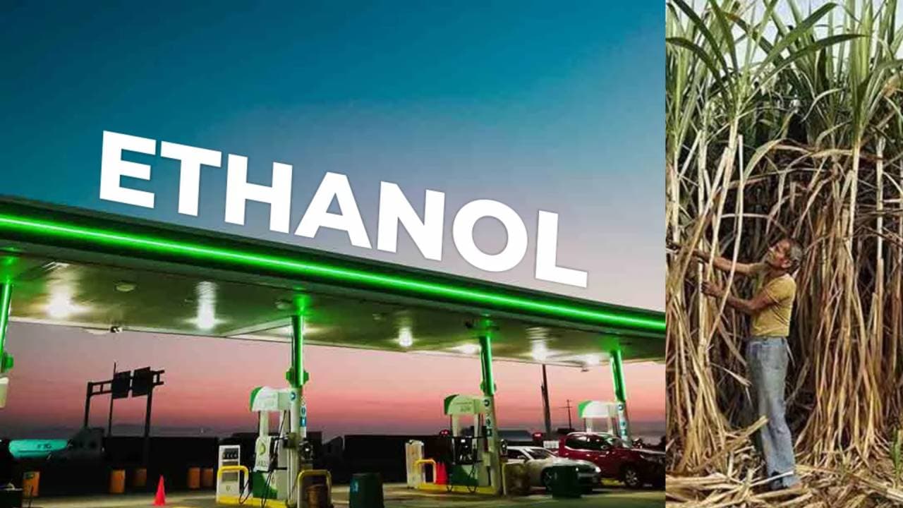 How To : एथनॉल से भारत के किसानों की कैसे होगी बम्पर कमाई और बनेंगे अन्नदाता से ऊर्जा प्रदाता?