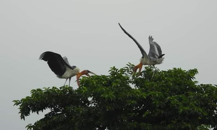 बिहार का एक दियारा, जिसने पक्षियों को शिकारियों से आजादी दिलाने की ठानी और अब मिलने वाला है विश्व की इस सूचि में तीसरा स्थान...