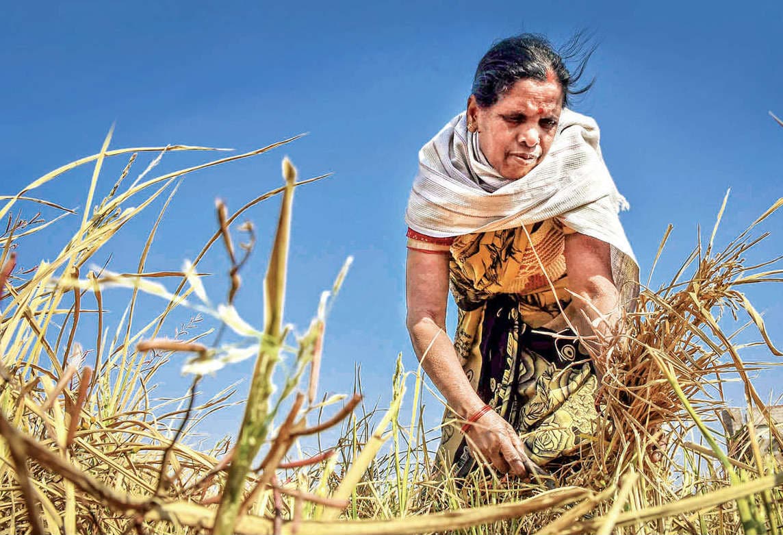आत्मनिर्भर बने भारत