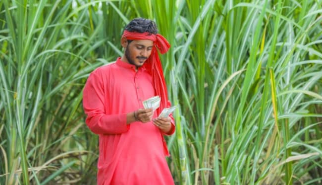 pm kisan samman nidhi की किस्त खाते में नहीं आने पर क्या करें... जानें