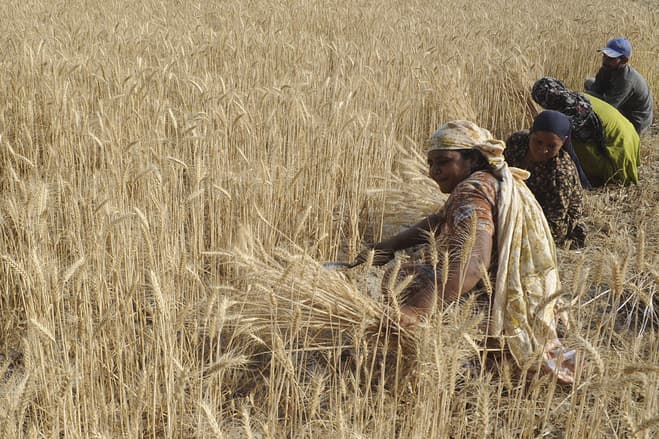 RBI के इस तीन घोषणा से कैसे मजबूत होगी अर्थव्यवस्था, जानें