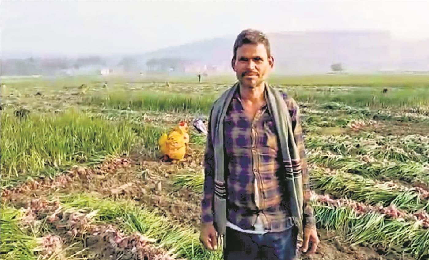 शेखपुरा के किसान ने सुखाड़ की आपदा को बदल दिया अवसर में, माघ महीने में उपजाया प्याज