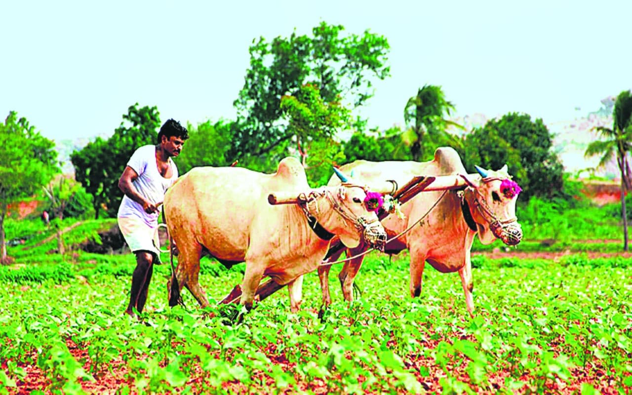 रोजगार व दिहाड़ी के मामले में कैसी है गांवों की स्थिति, जानिए कौन-से राज्य हैं टॉप पर