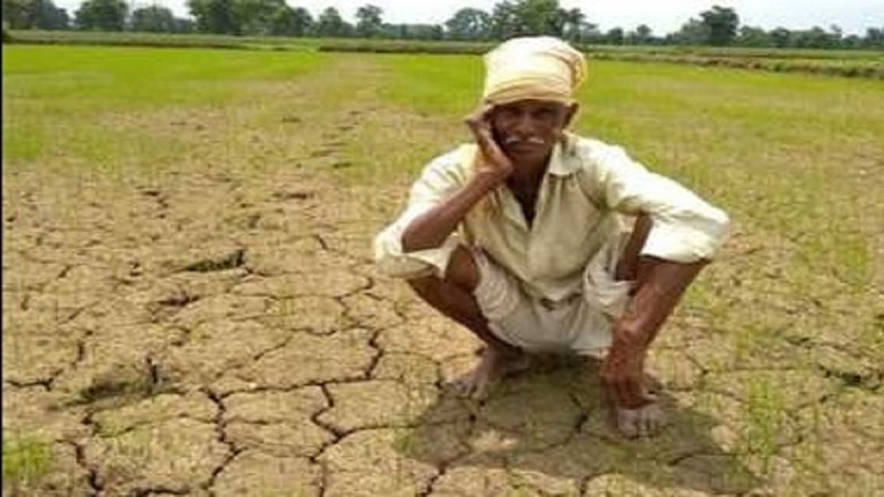 मुजफ्फरपुर में किसानों की बढ़ी परेशानी, जिले में 3,600 डीजल अनुदान का आवेदन रद्द, दस हजार से ज्यादा लंबित