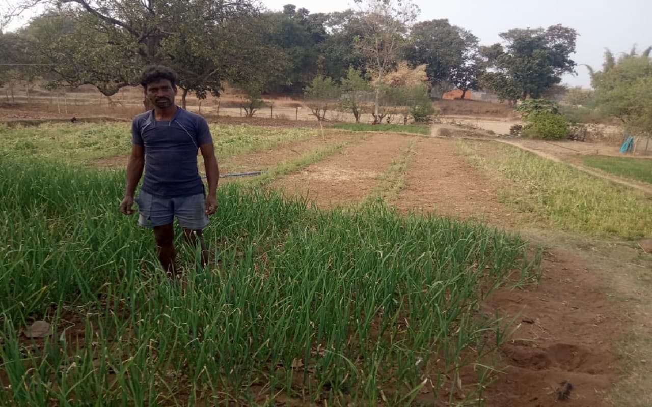 Budget Expectations 2023: झारखंड बजट से गुमला के अन्नदाता किसानों को क्या हैं उम्मीदें ?