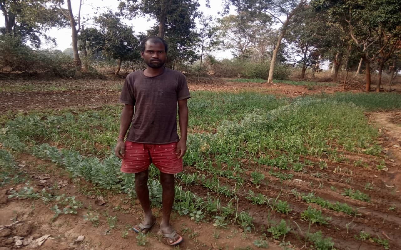 झारखंड: खरीफ के मौसम में सूखे की मार झेल चुके किसानों को रबी फसल से थीं उम्मीदें, कम बारिश ने बढ़ायी परेशानी