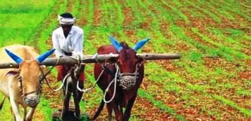 झारखंड के किसानों की आमदनी सबसे कम, केवल 4,895 रूपये ही कमाते हैं प्रति माह, जानें कौन से राज्य है सबसे बेहतर