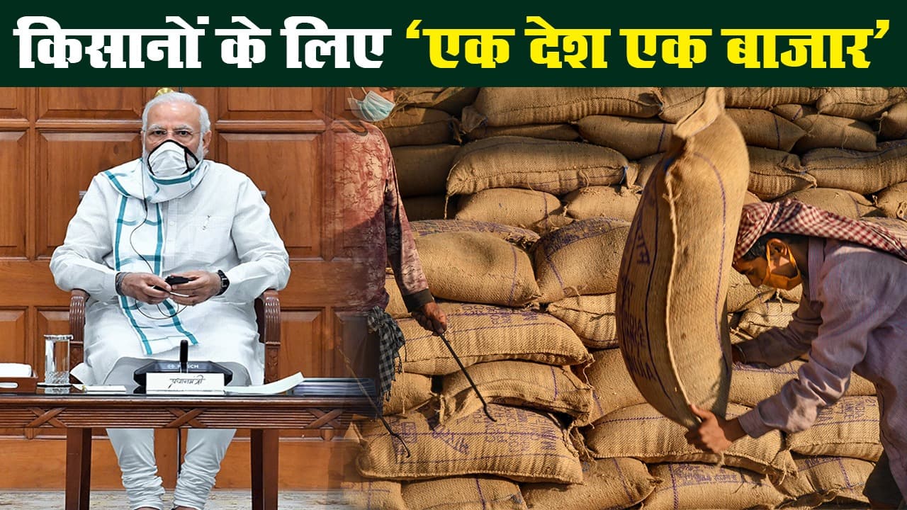 मोदी कैबिनेट का फैसला, किसानों के खेतों से कंपनियां सीधे कर सकेंगी खरीद