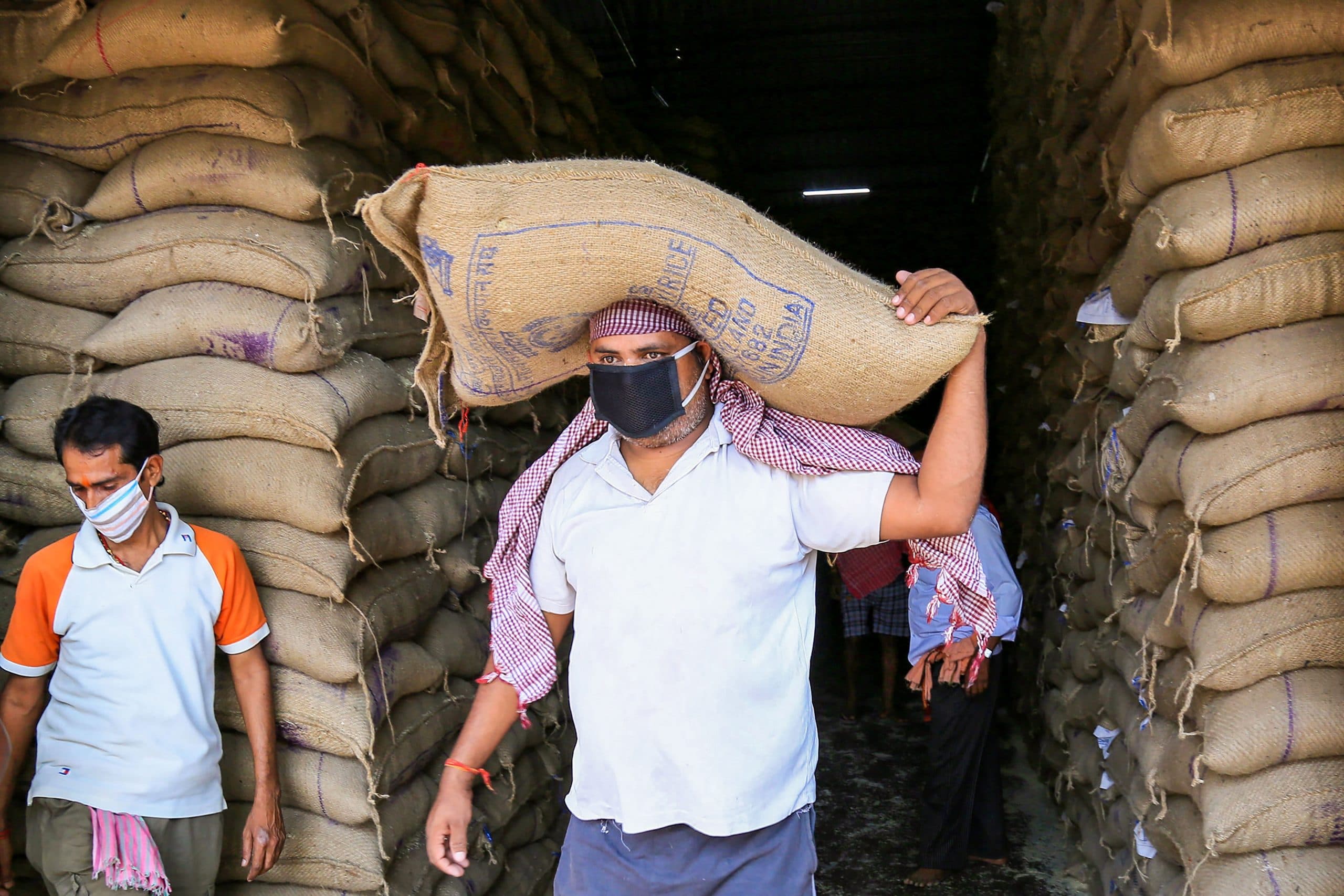 Food Security: देश में 5.8 करोड़ राशन कार्ड पाए गए हैं अवैध