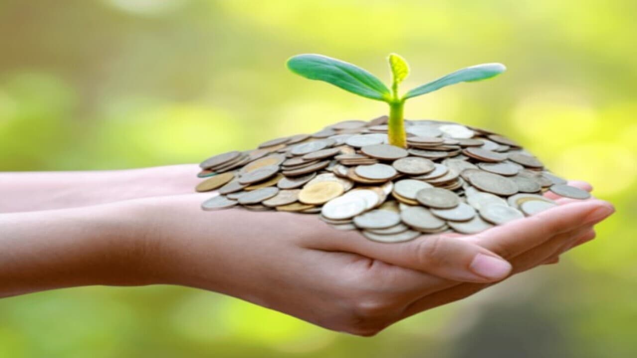 FD Rate of Interest: इस सरकारी बैंक में फिक्स डिपॉजिट पर मिलेगा 8% तक ब्याज, केवल 6 दिन बचा मौका