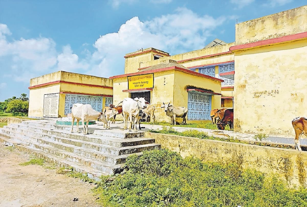 मवेशियों का चारागाह बना एक करोड़ की लागत से तैयार बिहार का पंचायत भवन, अराजक तत्वों का जमता है डेरा
