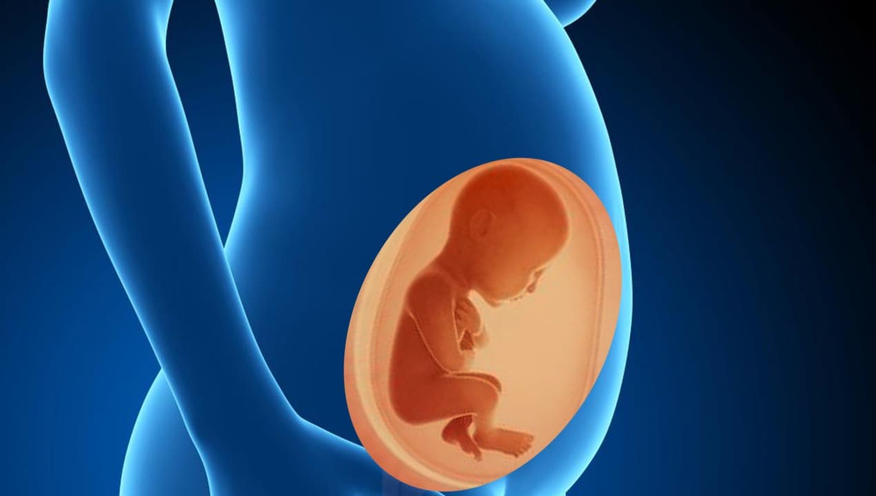 अजब-गजब: आठ महीने के बच्चे के पेट में पल रहा था एक अन्य भ्रूण, ऑपरेशन करके बाहर निकाला गया