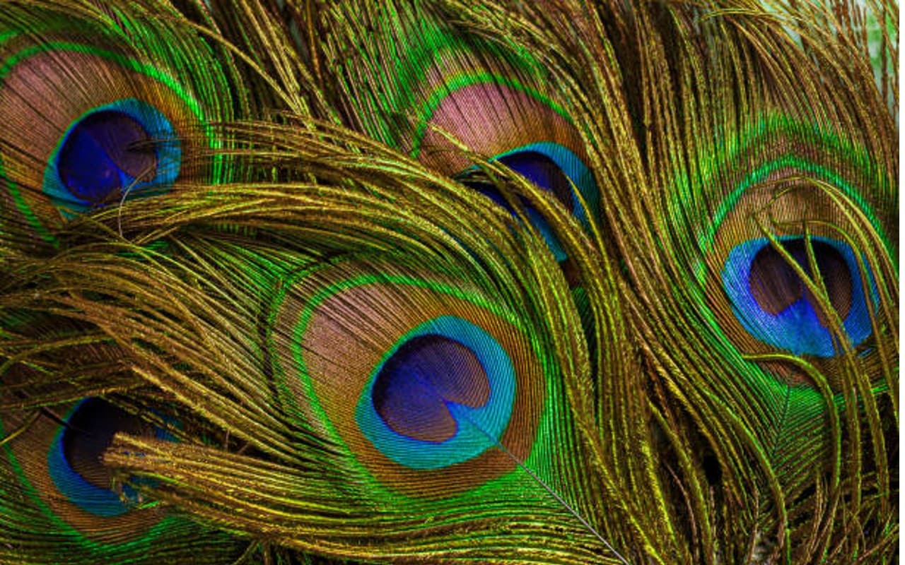 रिश्तों में कभी-कभी जरूरी है मौन रहना, लेकिन बात बंद होना नहीं...