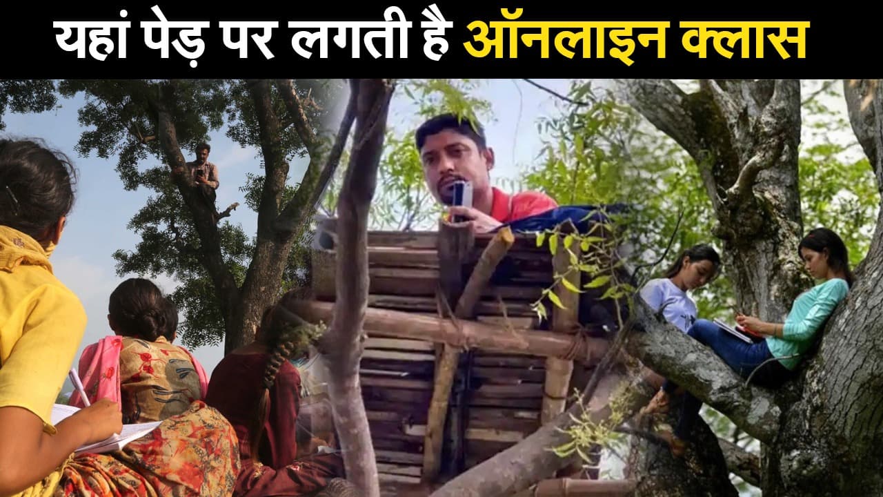 यहां पेड़ पर लगती है ऑनलाइन क्लास