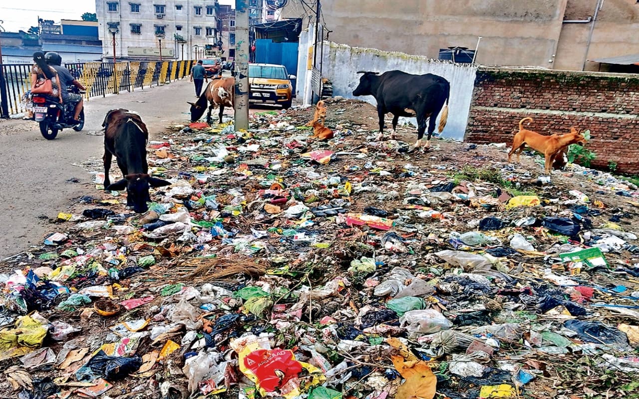 धनबाद में 15 दिनों से घरों में डंप है कचरा, दुर्गंध से लोग परेशान