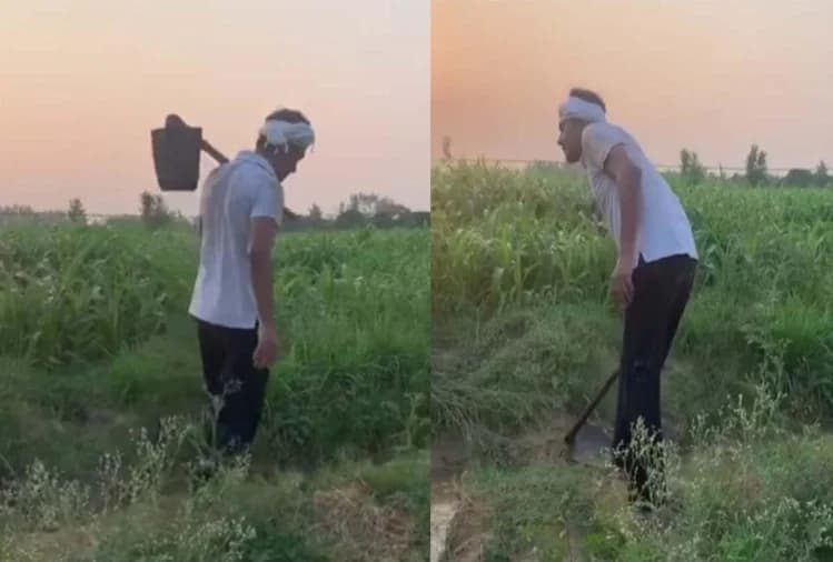 VIDEO : नवाजुद्दीन सिद्दीकी को खेत में काम करते देख फैंस बोले- आसमां की उचाईयां छू ली...