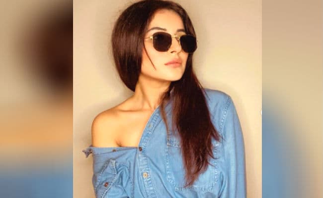 शहनाज गिल की इस अदा पर धड़का फैंस का दिल, बोले- आप मेरे दिल की रानी...