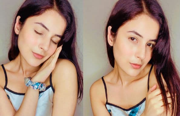 शहनाज ने पोस्ट की 'नो मेकअप लुक' की तसवीर, तो फैंस ने पूछा- क्या है खूबसूरती का राज?